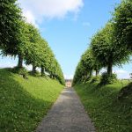distanza alberi dal confine usucapione