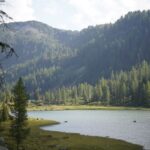 Breathtaking view of a serene mountain lake surrounded by lush forests in the Italian Alps.