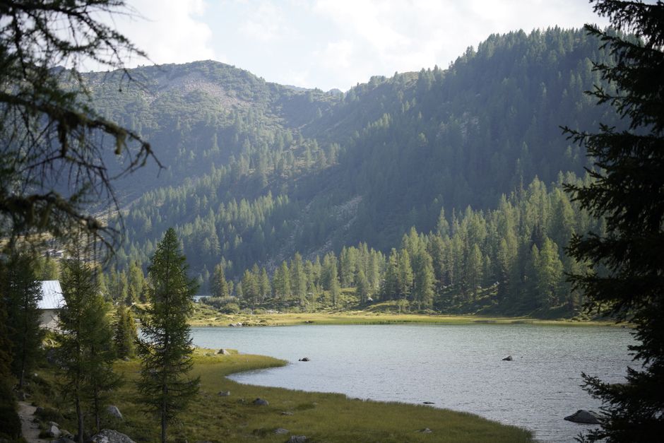 Breathtaking view of a serene mountain lake surrounded by lush forests in the Italian Alps.
